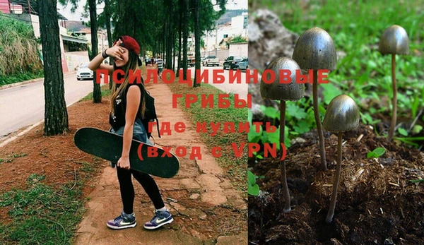 a pvp Абаза